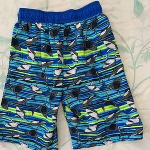 Boys Large Swim Trunks